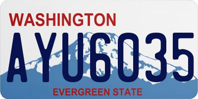 WA license plate AYU6035