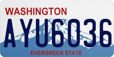 WA license plate AYU6036