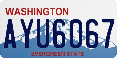 WA license plate AYU6067