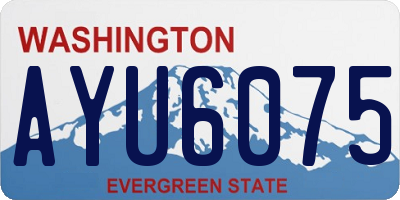 WA license plate AYU6075