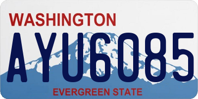 WA license plate AYU6085