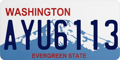 WA license plate AYU6113