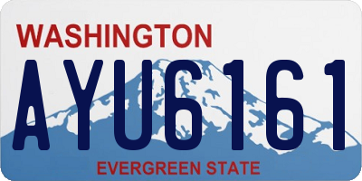 WA license plate AYU6161