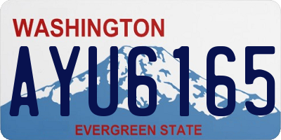 WA license plate AYU6165