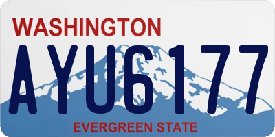 WA license plate AYU6177