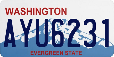 WA license plate AYU6231