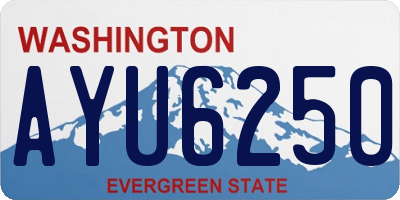 WA license plate AYU6250