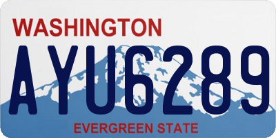 WA license plate AYU6289