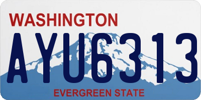 WA license plate AYU6313