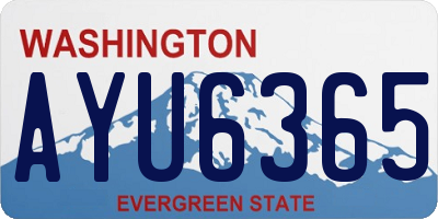 WA license plate AYU6365