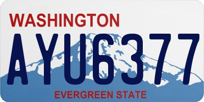 WA license plate AYU6377