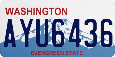 WA license plate AYU6436