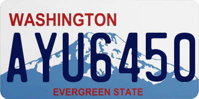 WA license plate AYU6450
