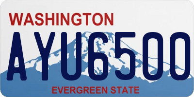 WA license plate AYU6500