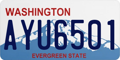 WA license plate AYU6501