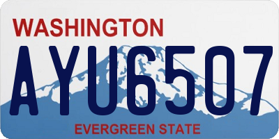 WA license plate AYU6507