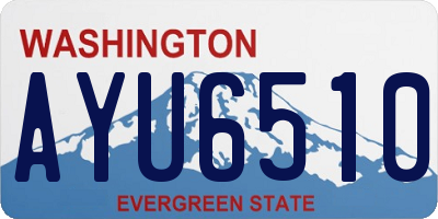 WA license plate AYU6510