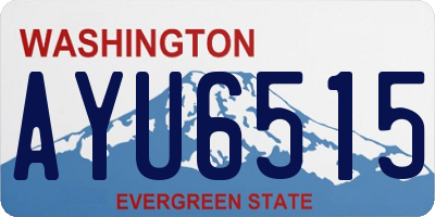 WA license plate AYU6515