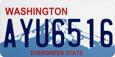 WA license plate AYU6516