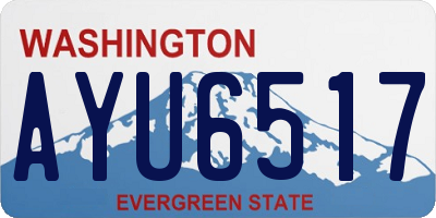 WA license plate AYU6517