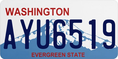 WA license plate AYU6519
