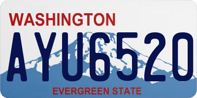 WA license plate AYU6520