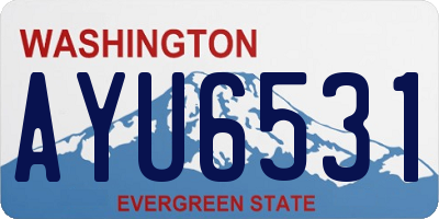 WA license plate AYU6531