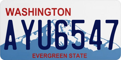 WA license plate AYU6547