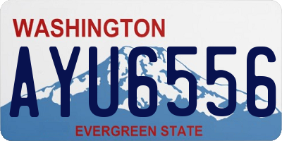 WA license plate AYU6556
