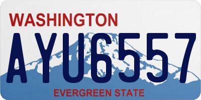 WA license plate AYU6557