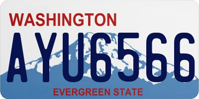 WA license plate AYU6566