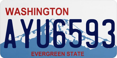 WA license plate AYU6593