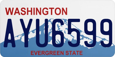 WA license plate AYU6599