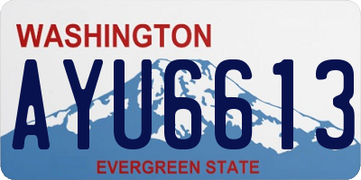 WA license plate AYU6613