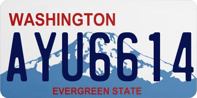WA license plate AYU6614