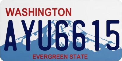 WA license plate AYU6615