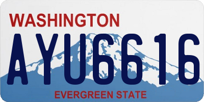 WA license plate AYU6616