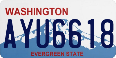 WA license plate AYU6618
