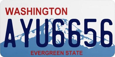 WA license plate AYU6656