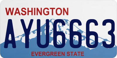 WA license plate AYU6663