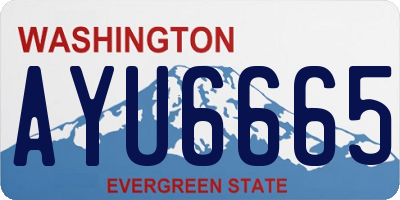 WA license plate AYU6665