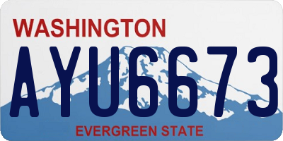 WA license plate AYU6673