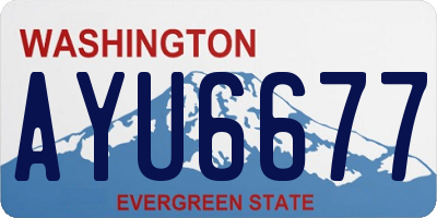 WA license plate AYU6677