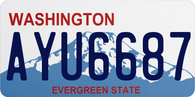WA license plate AYU6687