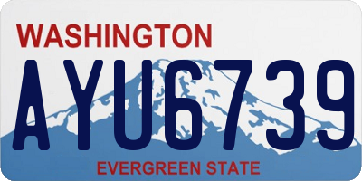 WA license plate AYU6739