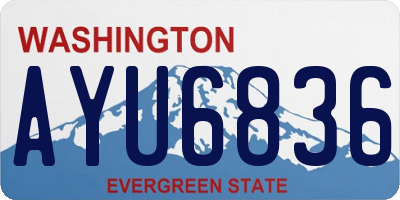 WA license plate AYU6836