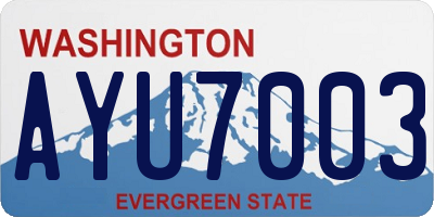 WA license plate AYU7003