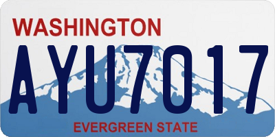 WA license plate AYU7017