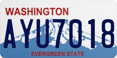 WA license plate AYU7018