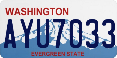 WA license plate AYU7033